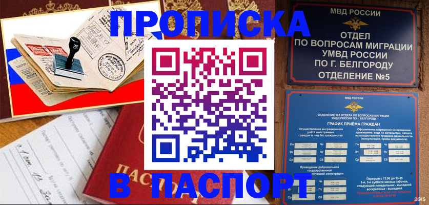 купить прописку в Дубовке